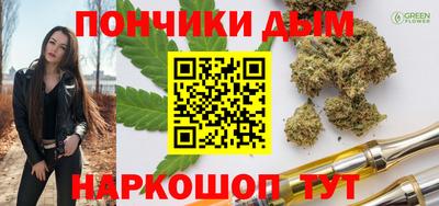 крисы Новодвинск