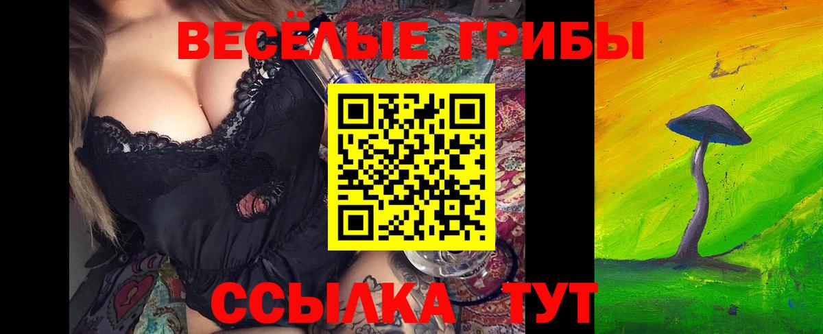 Галлюциногенные грибы мухоморы  Вход с VPN  Галлюциногенные грибы прущие грибы  Урюпинск 